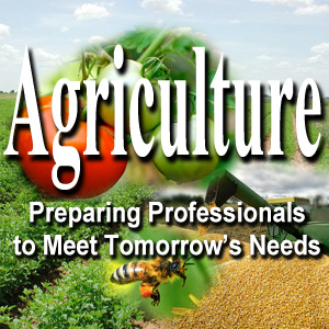 Agriculture.