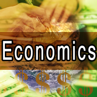 Bachelor of Business in Economics.