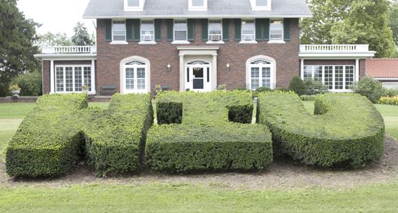 WIU bushes
