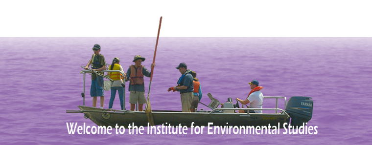 IES Welcome Banner