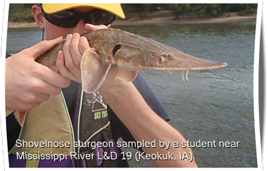 Student with shovel nosed sturgeon.