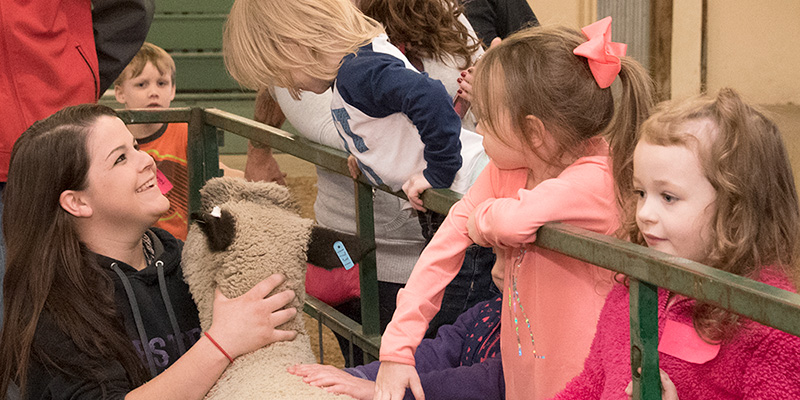 Ag student showing pre-schoolers sheep