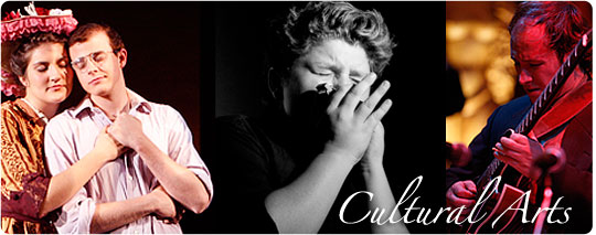 Trio of performance photos - couple acting; harmonica player; jazz guitarist