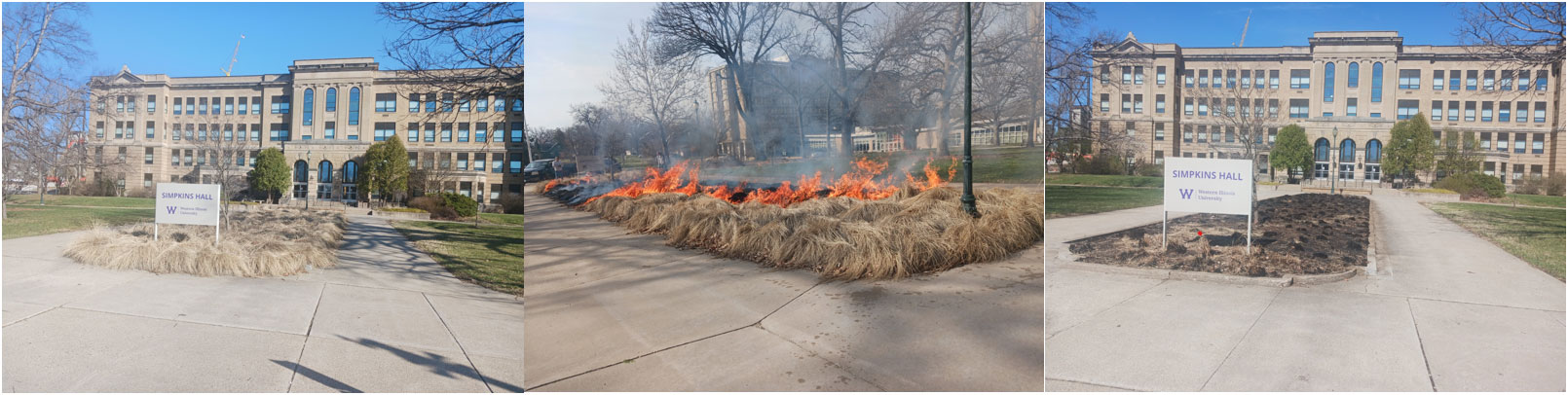 Before and after of controlled burn in front of Simpkins Hall