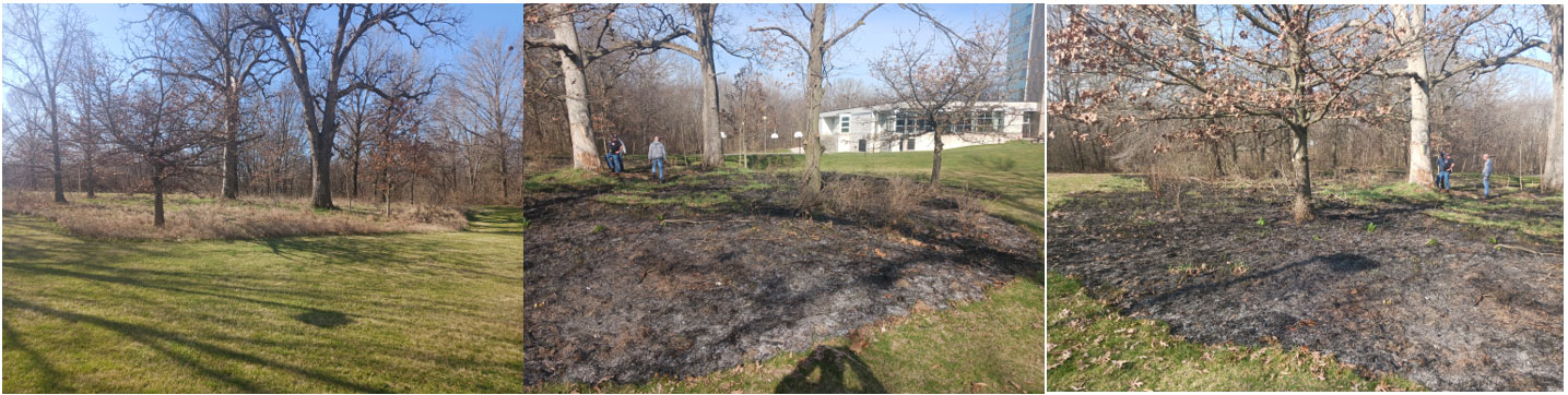 before and after of controlled burn in wooded area near Thompson Hall