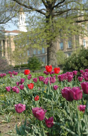 Sherman Hall in Spring.