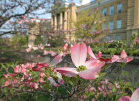 Sherman Hall.