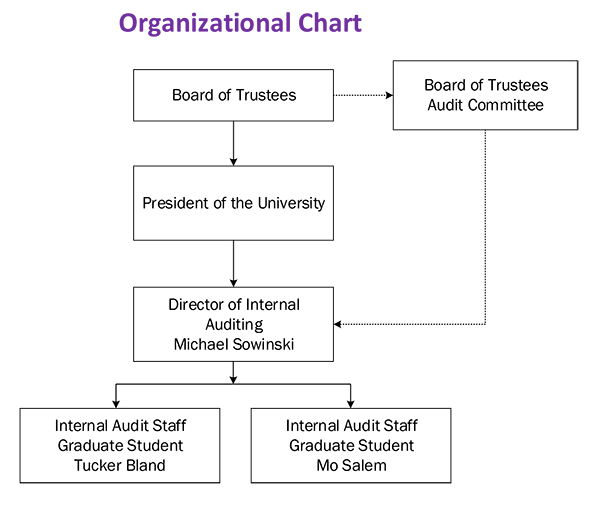 Organizational Chart: BOT > President of the University > Director of Internal Auditing > Internal Audit Staff Graduate Students