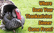 Image of at turkey with the text Were Does Your Thanksgiving Dinner Come From?