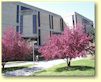 Image of Malpass Library.