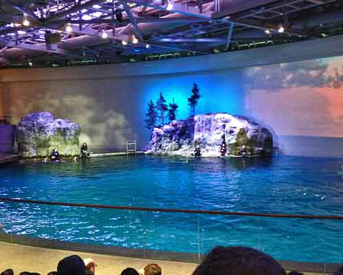 2016 Shedd Aquarium Photo