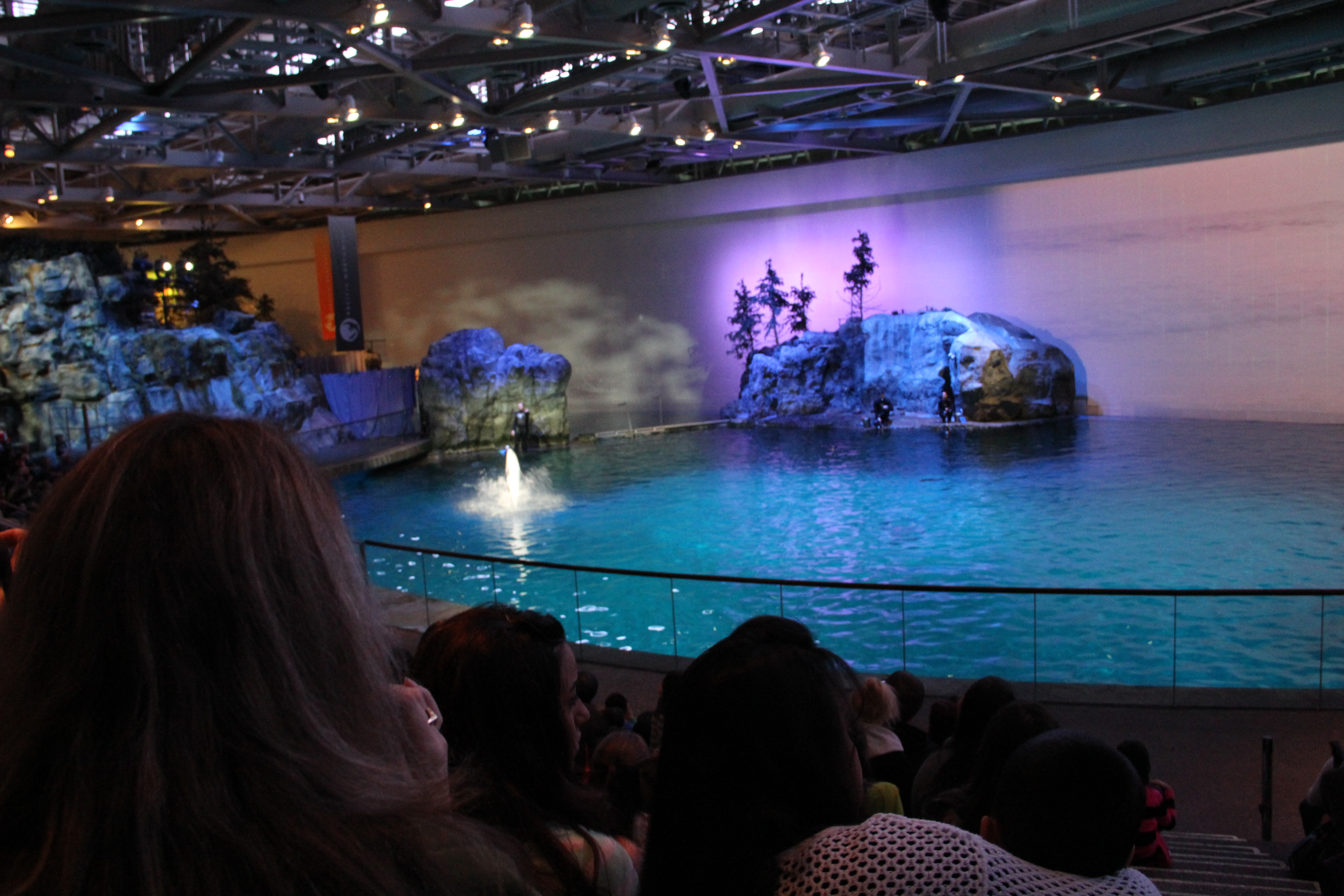 aquatic show