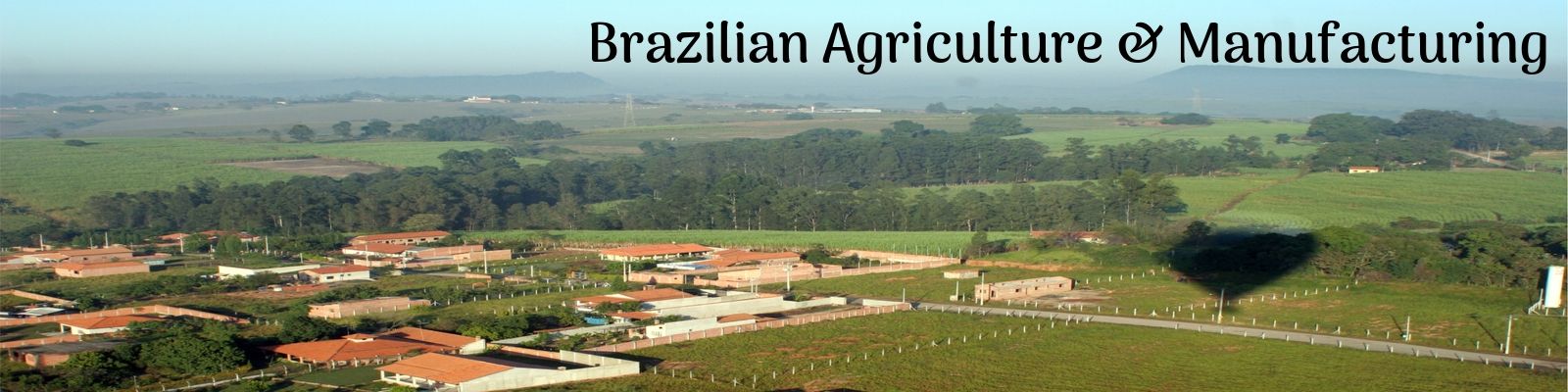 Brazilian Agriculture and Manufacturing