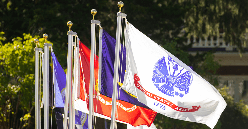 Photo of U.S. Military flags