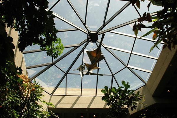 Library Glass Ceiling