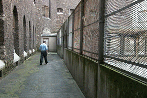 Dans une fosse comme un ours