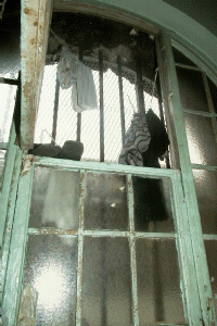 Je ne vois rien qu'un ciel hostile