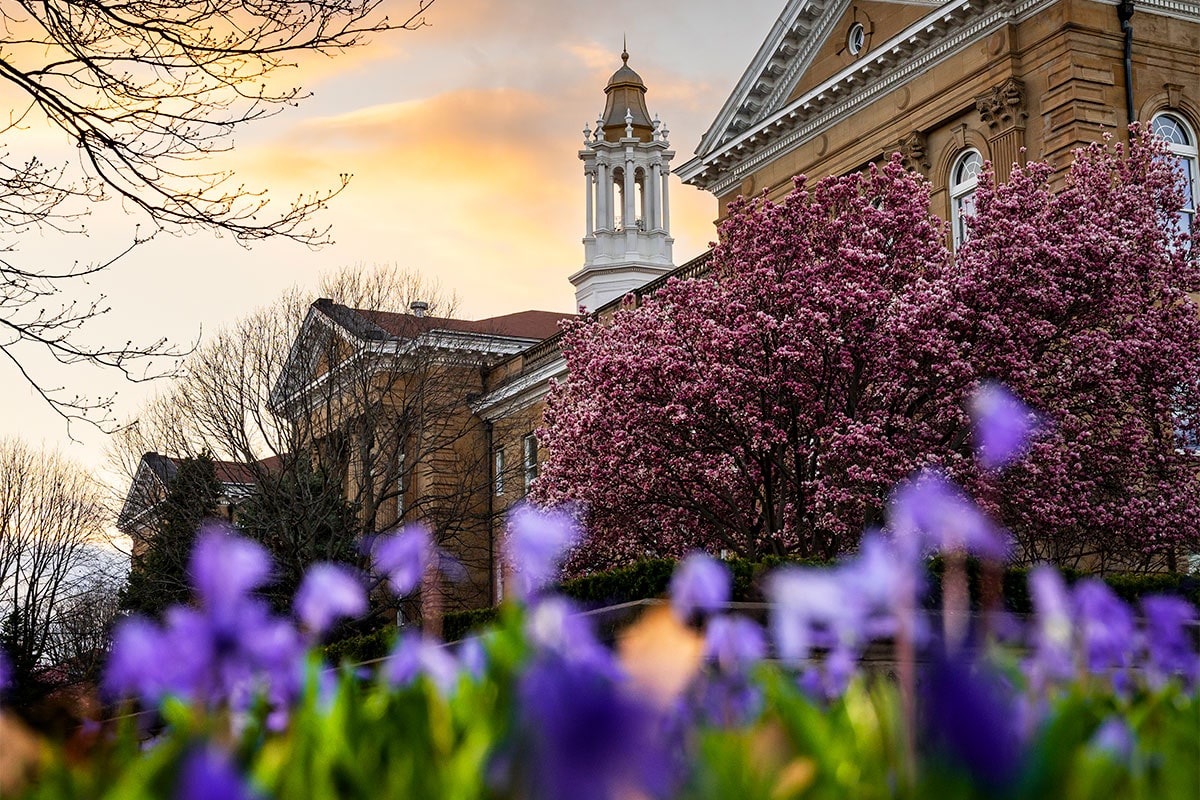 blurred background image