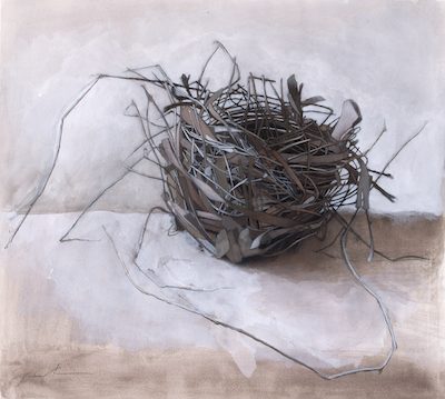 biennial