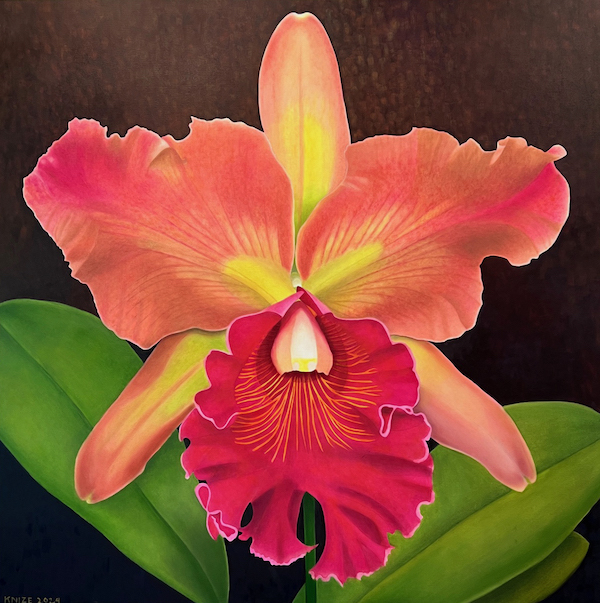 Fuchsia Beauty, oil on canvas, 72 x 72 in.