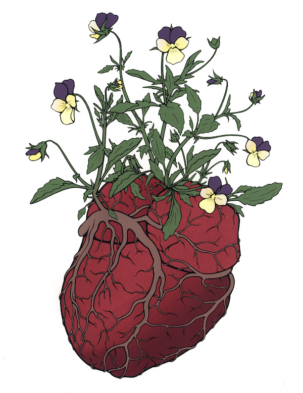 Heart's Ease, serigraph, 14 x 11 in.