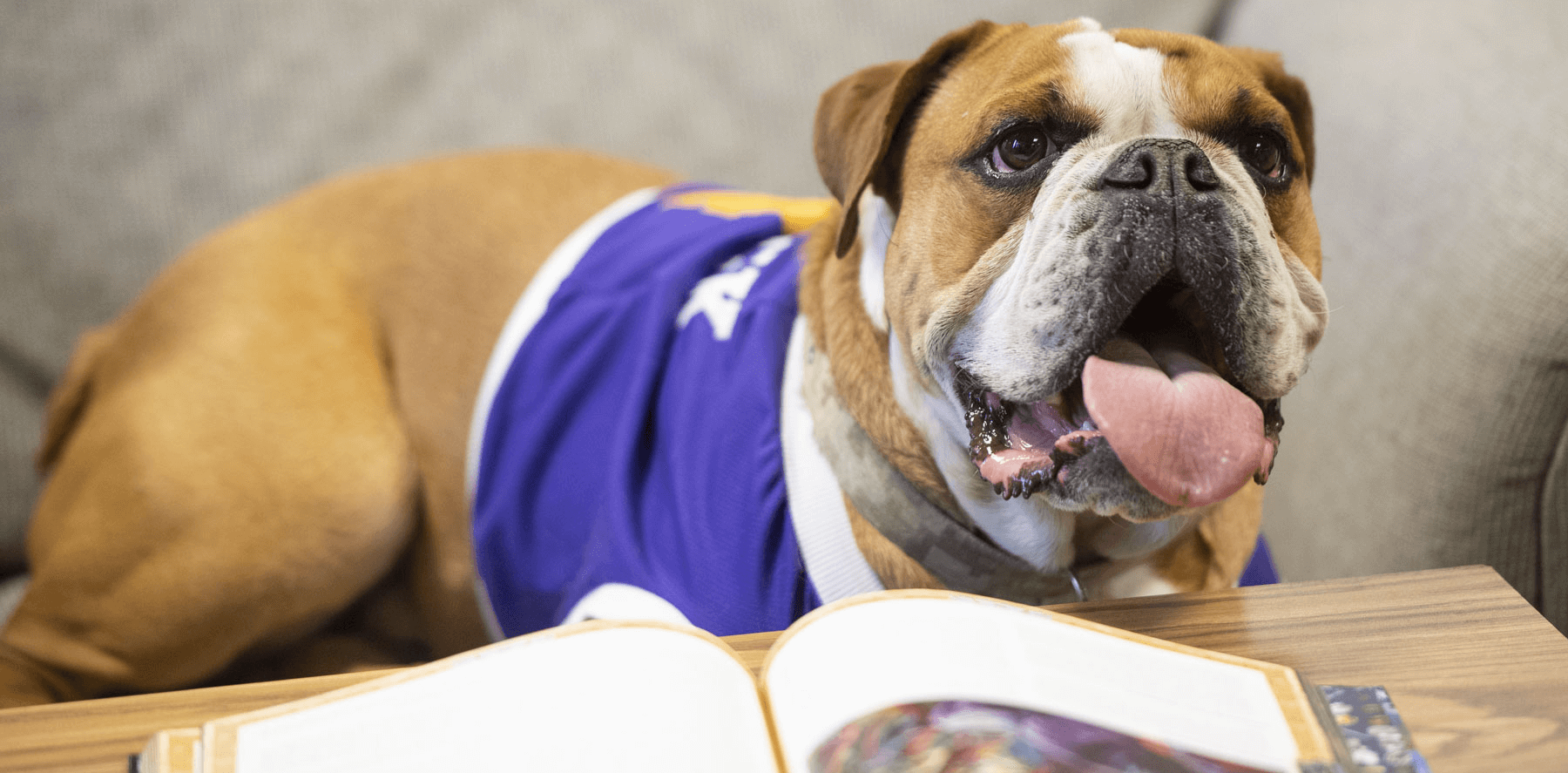 Photo of WIU Mascot Rocky looking like they are reading a book