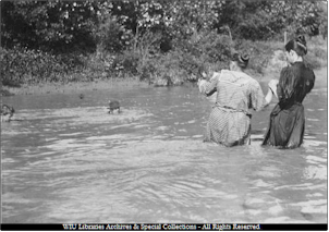Image of people swimming/wading in Lamoine River, early 1900s