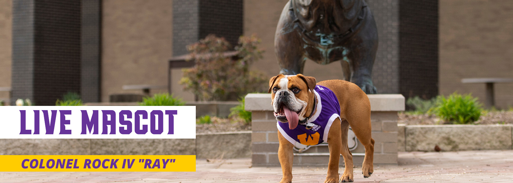 Live Mascot, Colonel Rock IV, Ray