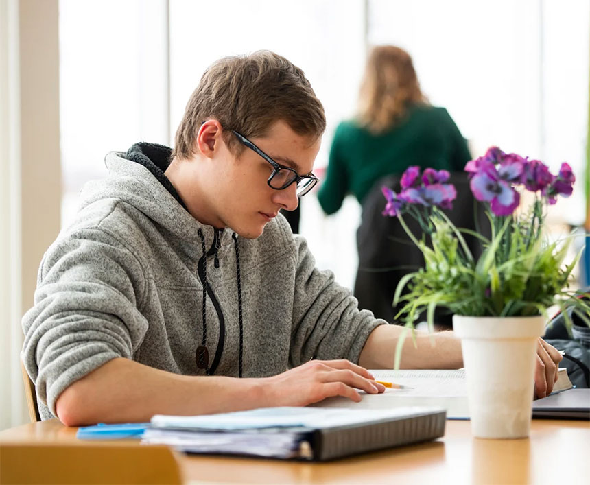 Online Learning at WIU