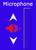Mute Microphone