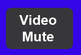 Video Mute