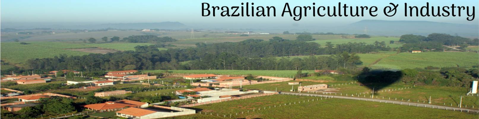 Brazilian Agriculture and Manufacturing