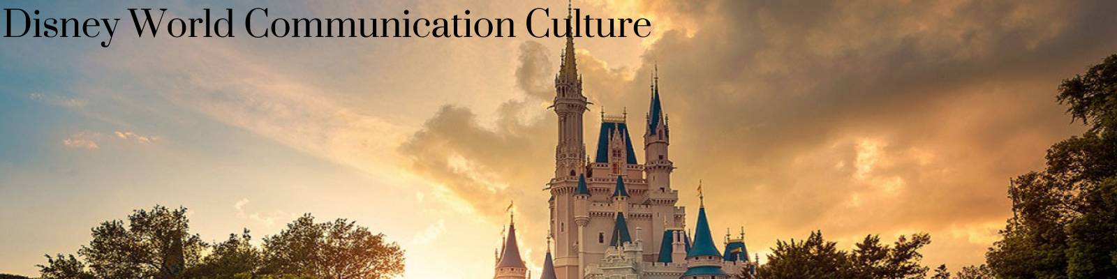 Disney World Communication Culture