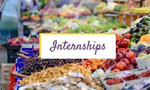 research in latin america