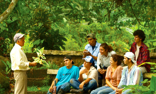 research in latin america