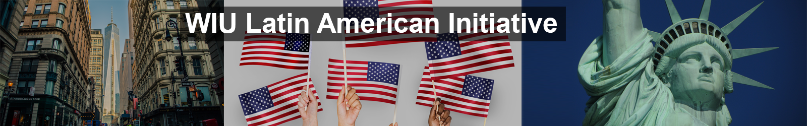 latin american initiatives