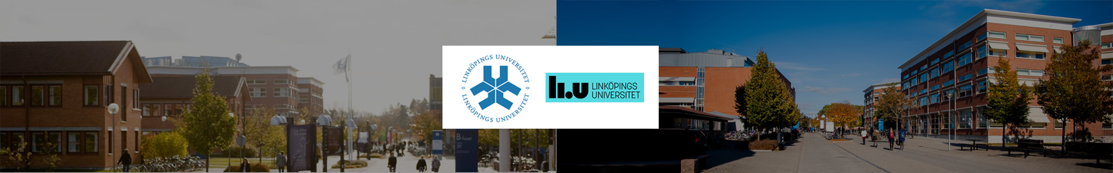 Linkoping University