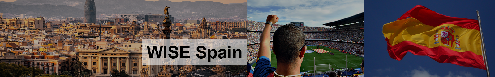 WISE Spain