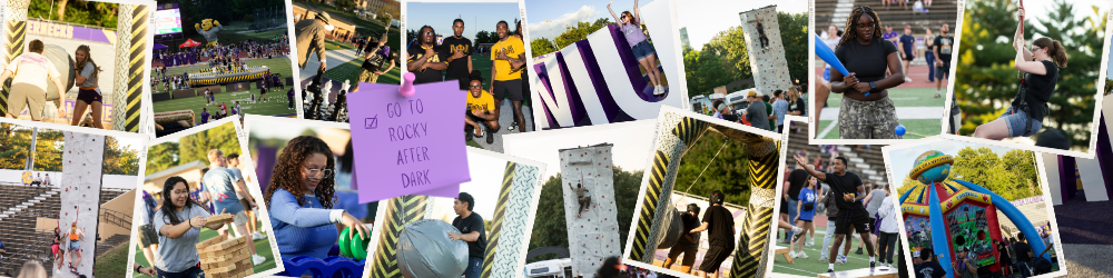 Rocky After Dark Photo Collage