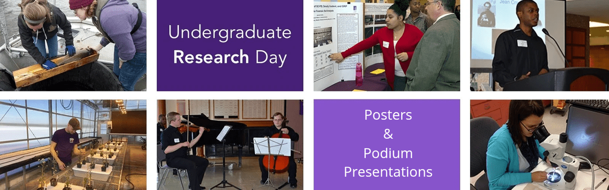 Pictures of students doing research and giving presentations